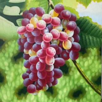 Acrylic Still Life on Canvas - Grapes